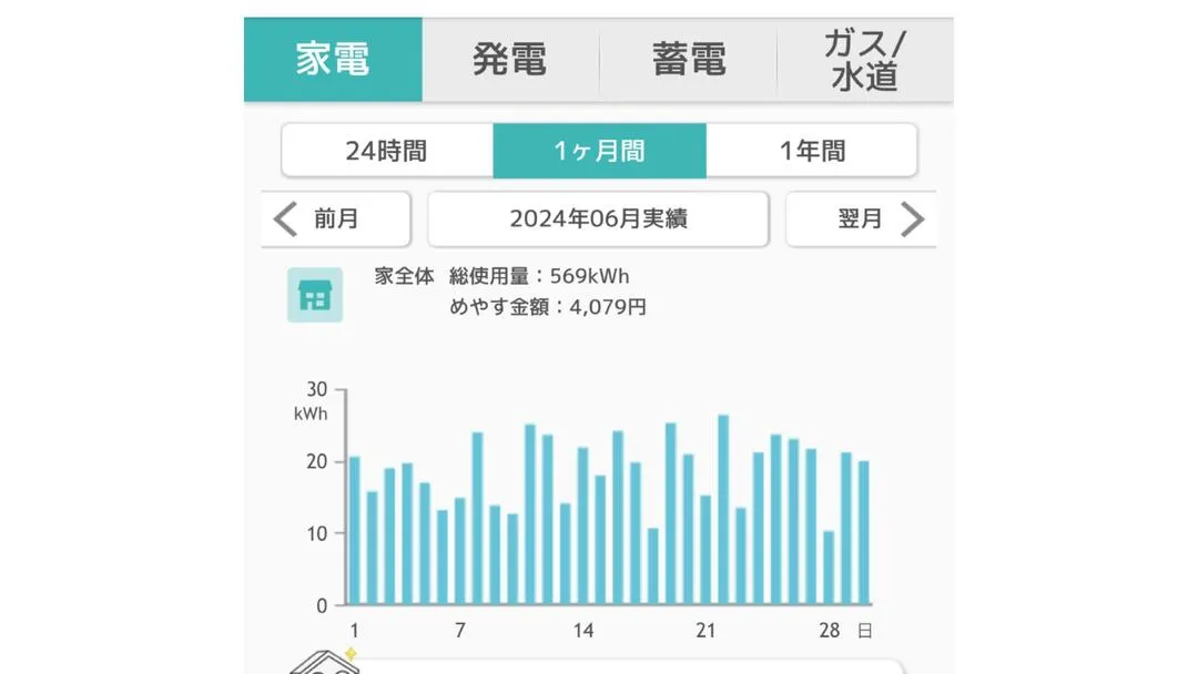 2024年6月の総電気使用量