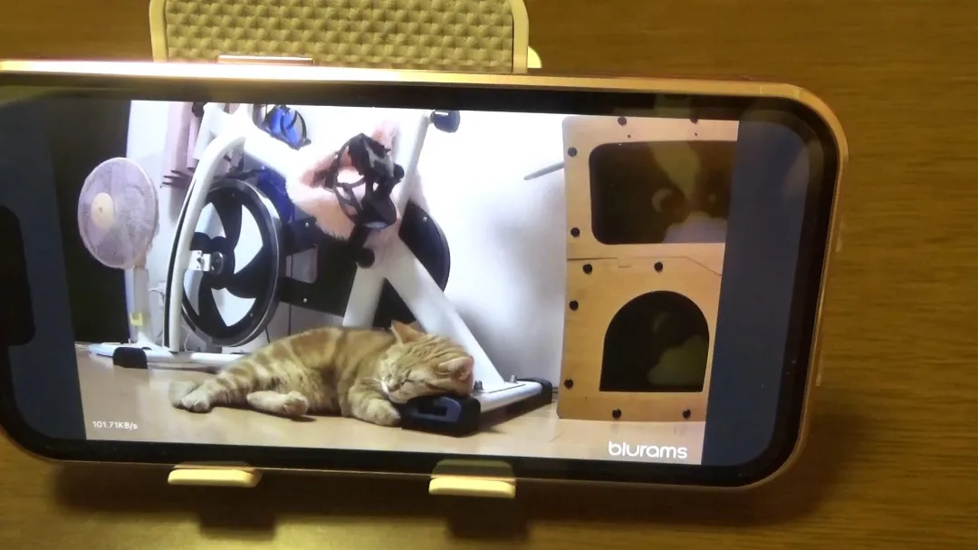 スマホに写っている画像
