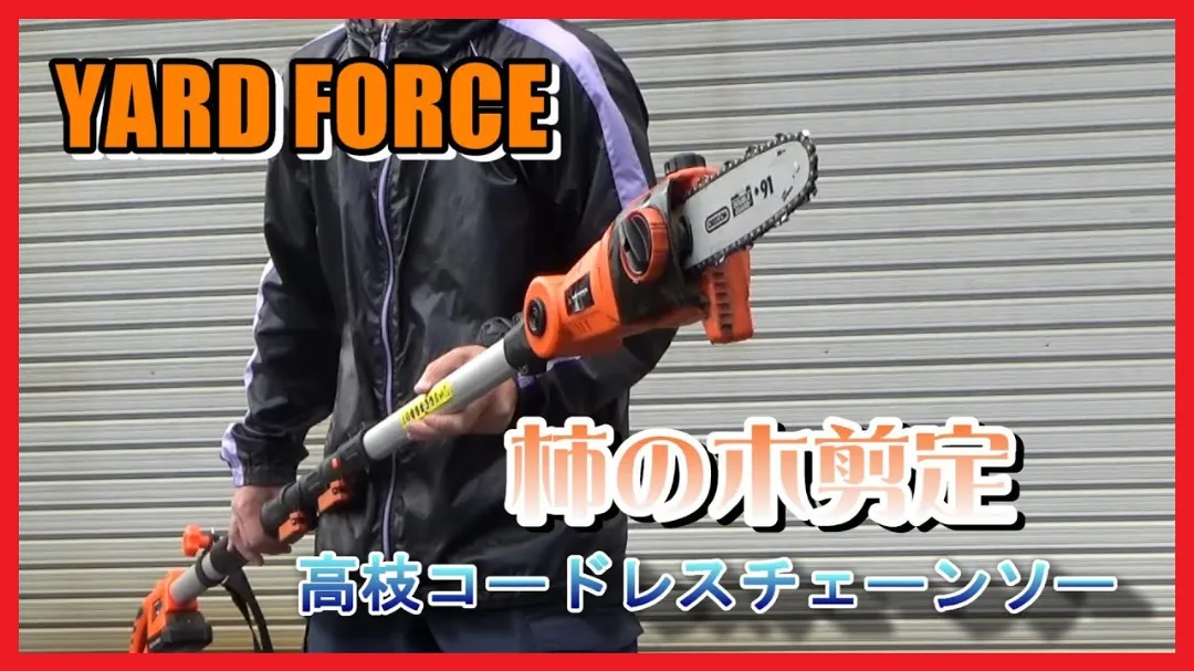 50年物の柿の木を伐採!YARD FORCE高枝電動チェーンソーで庭の悩みがスッキリ解決のサムネイル