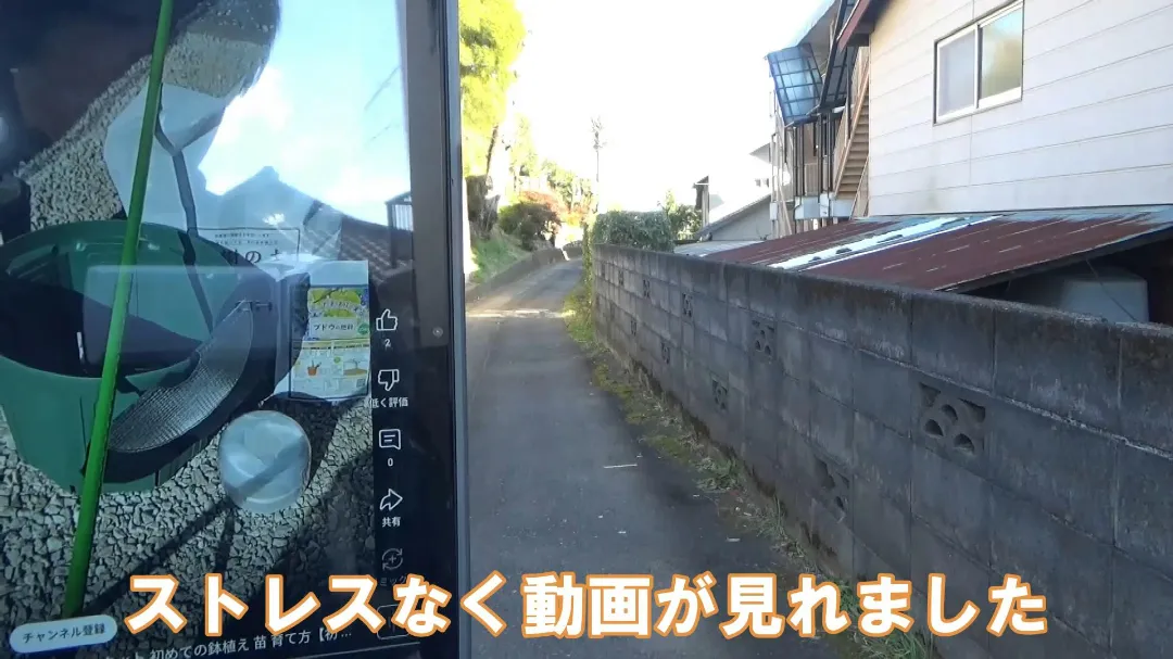 動画を見てる画像