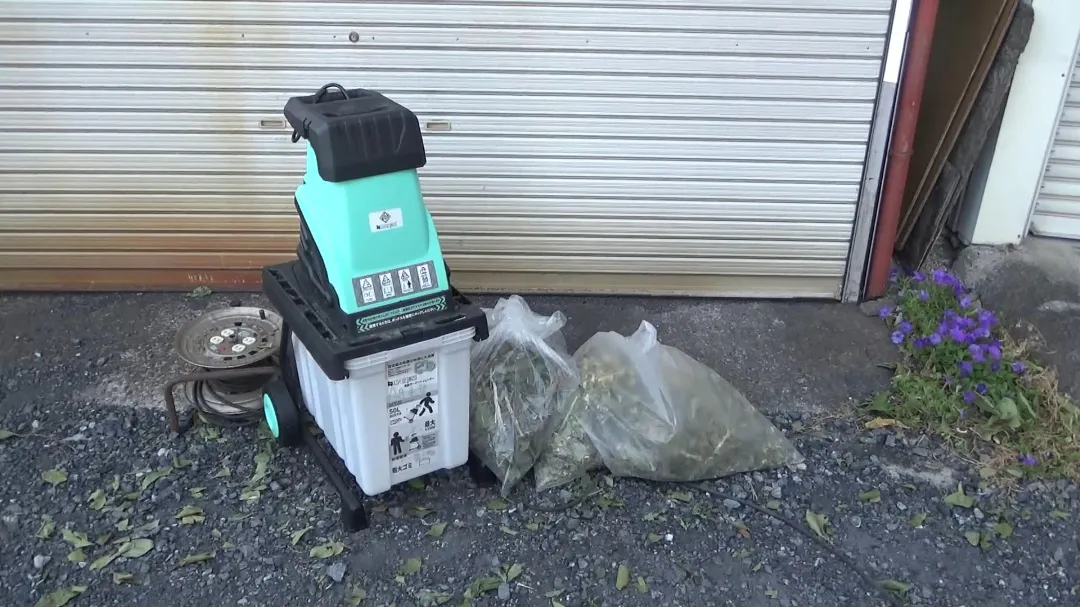 枝がスッキリ片付いた画像