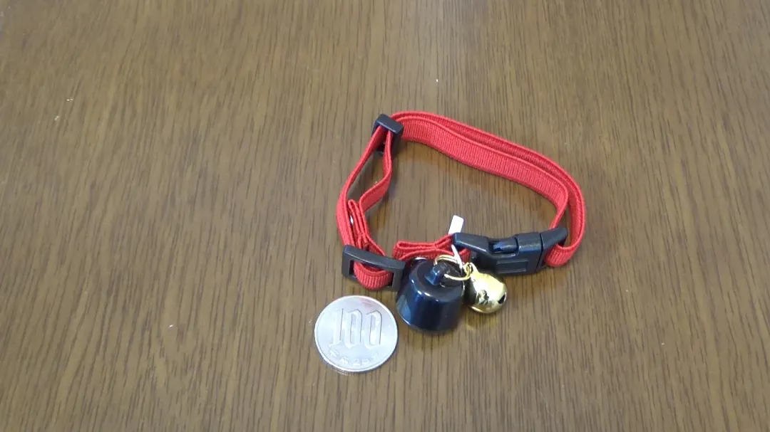 100円玉との比較画像