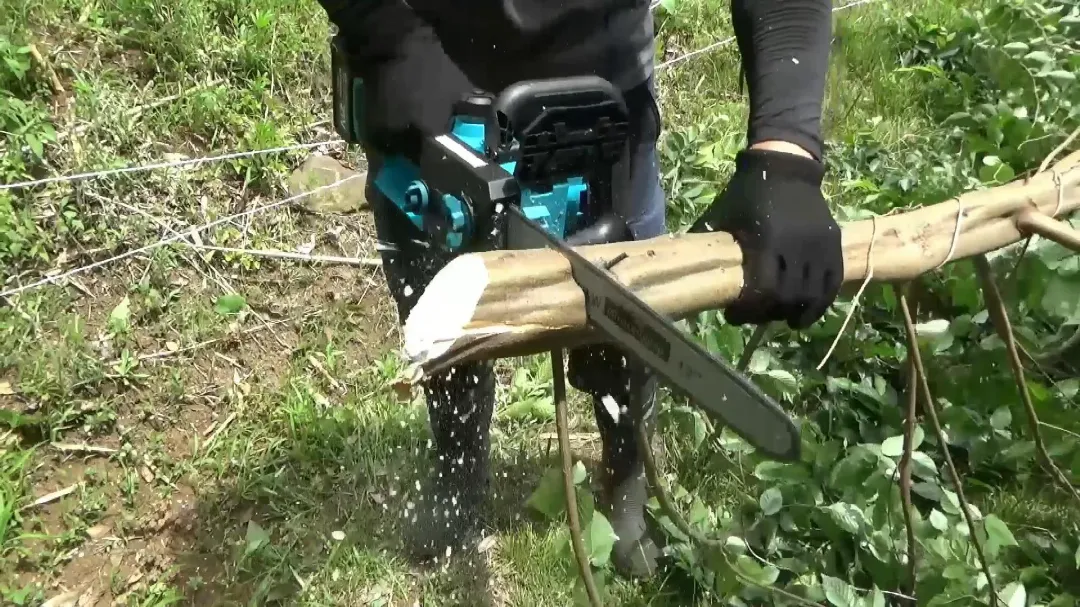 木を切っている画像