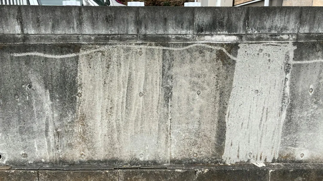 洗浄後の壁の画像