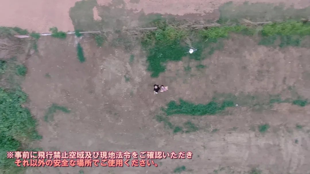 空からの視点の画像